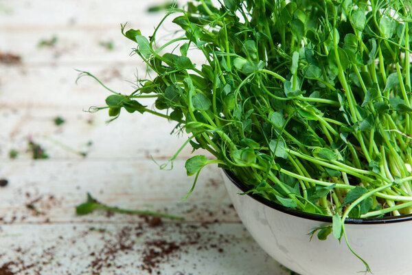 Живая пища из ростков. Выращивание микрорастений дома. Сырье для веганов. Натуральный детокс