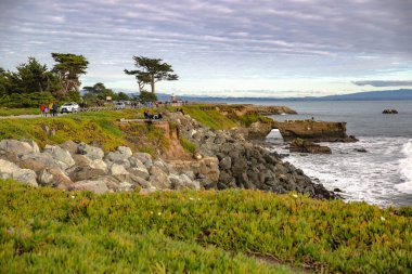 Kaliforniya 'nın Monterey şehrindeki Pasifik Okyanusu kıyısında. Amerika Birleşik Devletleri. Güneşli bir günde güzel bir sahil. Okyanus manzarası.