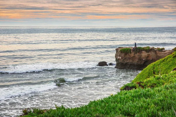 The Pacific Ocean coast in the city of Monterey in California. United States of America. Beautiful beach on a sunny day. Ocean landscape.