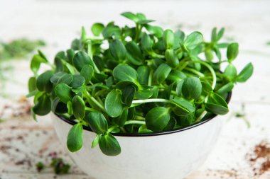 Filizlenmiş tohumlar, mikro yeşiller. Sağlıklı bir yaşam tarzı. Toprak bloğunda yeşil filizler.