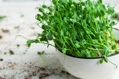 Filizlenmiş tohumlar, mikro yeşiller. Sağlıklı bir yaşam tarzı. Toprak bloğunda yeşil filizler.