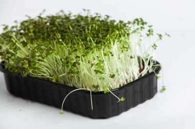 Mikro yeşiller, lahanayla bebek yaprağı sebzeleri arasına düşen taze sebzelerdir. Mikro yeşiller çiğ yenebilir.