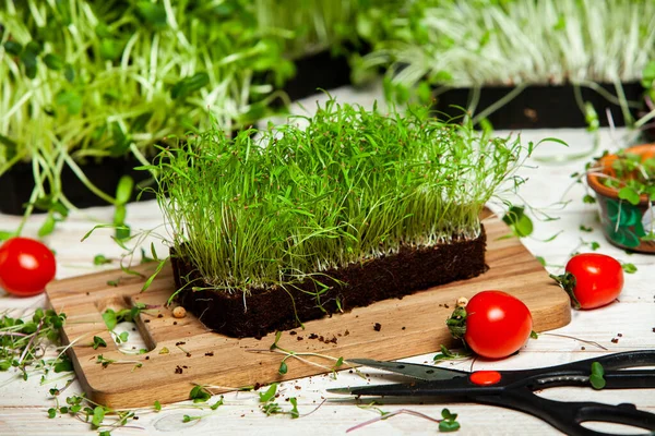 Micro greens are young vegetable greens that fall somewhere between sprouts and baby leaf vegetables. Micro greens may be eaten raw