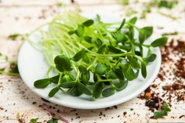 Mikro yeşillikler, özellikle salatalarda, yiyecek olarak kullanılan rogula, dereotu, lahana ya da doru gibi çeşitli bitkilerin küçük filizleri.. 