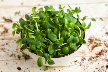 Mikro yeşillikler, özellikle salatalarda, yiyecek olarak kullanılan rogula, dereotu, lahana ya da doru gibi çeşitli bitkilerin küçük filizleri.. 