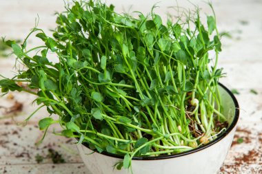 Mikro yeşillikler, özellikle salatalarda, yiyecek olarak kullanılan rogula, dereotu, lahana ya da doru gibi çeşitli bitkilerin küçük filizleri.. 