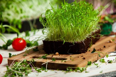 Mikro yeşiller mükemmel taze sebzeler, otlar ve yeşiller yüksek seviyede antioksidan, vitamin, mineral ve enzimler içeriyor..