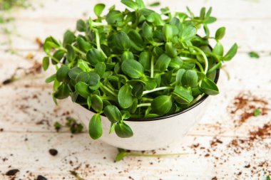 Mikro yeşiller mükemmel taze sebzeler, otlar ve yeşiller yüksek seviyede antioksidan, vitamin, mineral ve enzimler içeriyor..