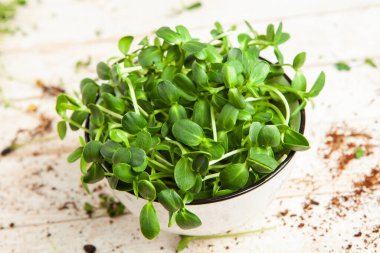 Mikro yeşiller mükemmel taze sebzeler, otlar ve yeşiller yüksek seviyede antioksidan, vitamin, mineral ve enzimler içeriyor..