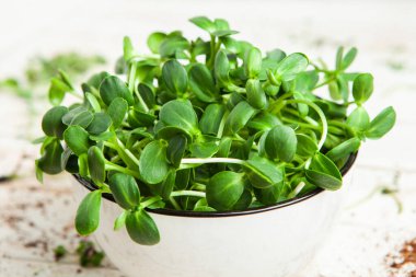 Mikro yeşiller mükemmel taze sebzeler, otlar ve yeşiller yüksek seviyede antioksidan, vitamin, mineral ve enzimler içeriyor..