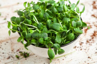 Mikro yeşiller mükemmel taze sebzeler, otlar ve yeşiller yüksek seviyede antioksidan, vitamin, mineral ve enzimler içeriyor..