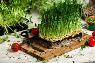 Mikro yeşiller mükemmel taze sebzeler, otlar ve yeşiller yüksek seviyede antioksidan, vitamin, mineral ve enzimler içeriyor.