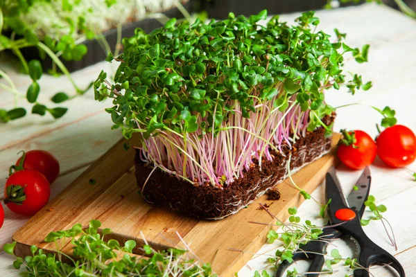 Microgreens are vegetable greens harvested just after the cotyledon leaves have developed