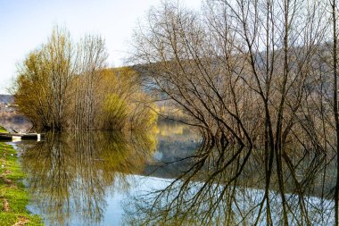 Avrupa 'da üç ve nehir olan güzel bir manzara. İlkbaharda inanılmaz doğa. Ne güzel dinlenme yeri. Sessiz yer
