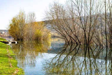 Avrupa 'da üç ve nehir olan güzel bir manzara. İlkbaharda inanılmaz doğa. Ne güzel dinlenme yeri. Sessiz yer