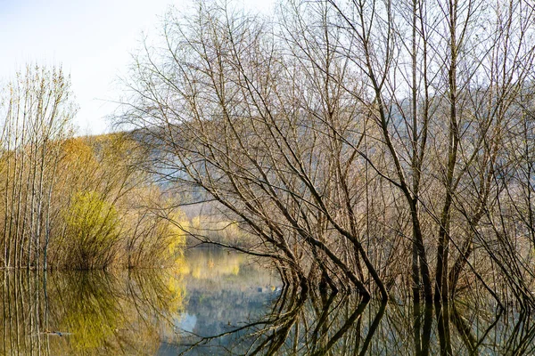 Тремя Рекой Европе Удивительная Природа Весной Идеальное Место Отдыха Тихий — стоковое фото