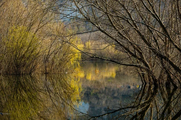 Beau Paysage Avec Trois Rivières Europe Une Nature Incroyable Printemps — Photo