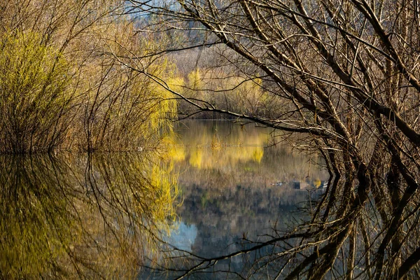 Avrupa Nehir Olan Güzel Bir Manzara Lkbaharda Inanılmaz Doğa Güzel — Stok fotoğraf
