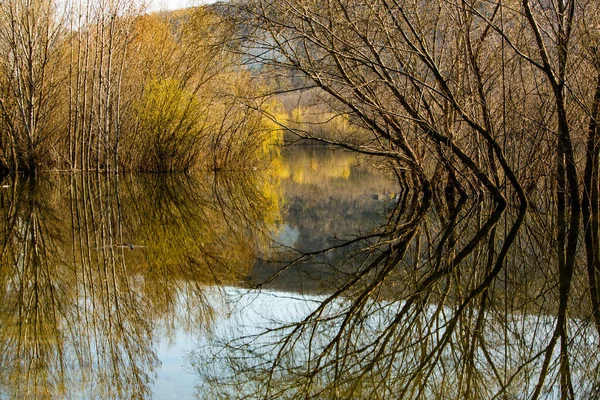 Όμορφο Τοπίο Τρεις Και Ποτάμι Στην Ευρώπη Καταπληκτική Φύση Την — Φωτογραφία Αρχείου