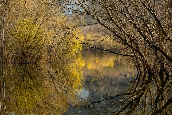 Beautiful Landscape Three River Europe Amazing Nature Spring Ideal Resting — Stock Photo, Image