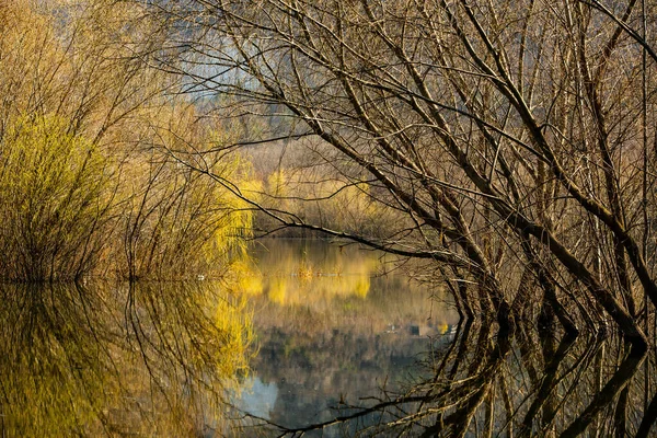 Bela Paisagem Com Três Rio Europa Natureza Incrível Primavera Local — Fotografia de Stock