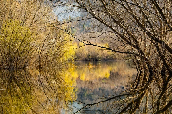 Bela Paisagem Com Três Rio Europa Natureza Incrível Primavera Local — Fotografia de Stock