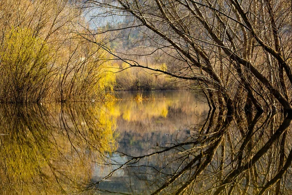 Bela Paisagem Com Três Rio Europa Natureza Incrível Primavera Local — Fotografia de Stock