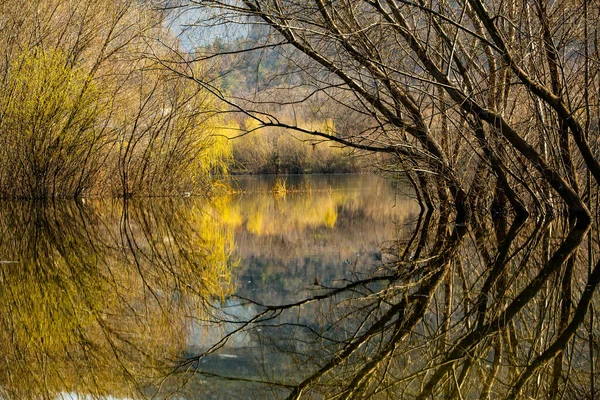 Beau Paysage Avec Trois Rivières Europe Une Nature Incroyable Printemps — Photo