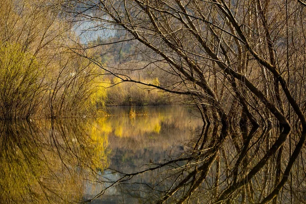 Beau Paysage Avec Trois Rivières Europe Une Nature Incroyable Printemps — Photo