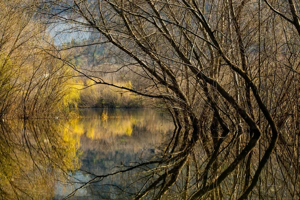 Όμορφο Τοπίο Τρεις Και Ποτάμι Στην Ευρώπη Καταπληκτική Φύση Την — Φωτογραφία Αρχείου