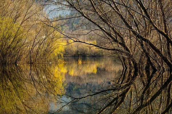 Bela Paisagem Com Três Rio Europa Natureza Incrível Primavera Local — Fotografia de Stock