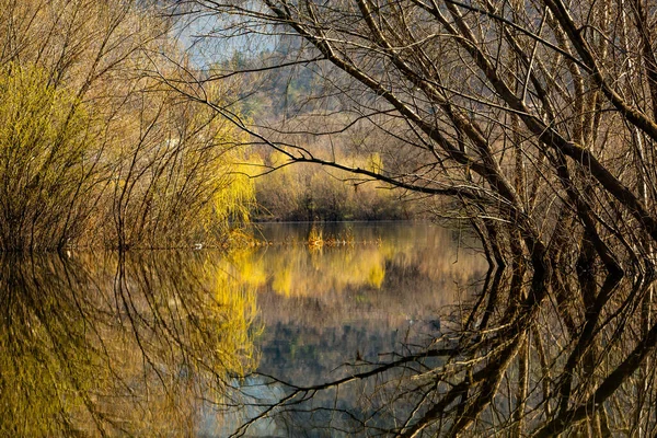 Bellissimo Paesaggio Con Tre Fiume Europa Natura Incredibile Primavera Luogo — Foto Stock