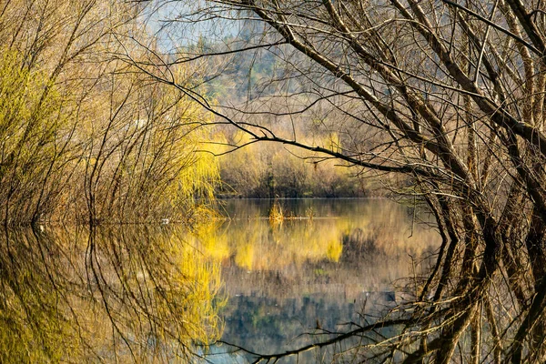 Vackert Landskap Med Tre Och Flod Europa Fantastisk Natur Våren — Stockfoto