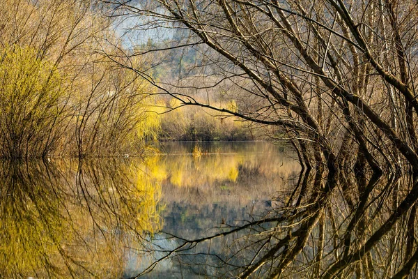 Piękny Krajobraz Trzema Rzeką Europie Wspaniała Przyroda Wiosną Idealne Miejsce — Zdjęcie stockowe