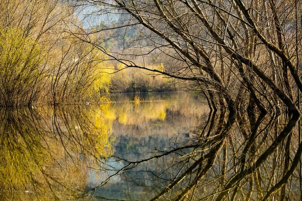 Bela Paisagem Com Três Rio Europa Natureza Incrível Primavera Local — Fotografia de Stock