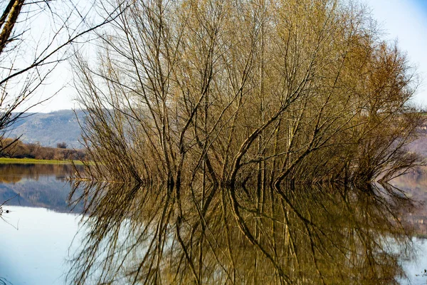 Beau Paysage Avec Trois Rivières Europe Une Nature Incroyable Printemps — Photo