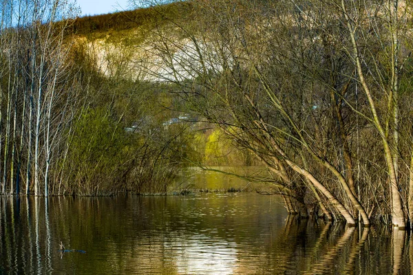 Bela Paisagem Com Três Rio Europa Natureza Incrível Primavera Local — Fotografia de Stock