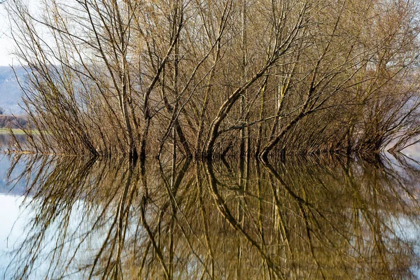 Prachtig Landschap Met Drie Rivier Europa Geweldige Natuur Het Voorjaar — Stockfoto