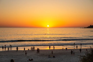 Kaliforniya 'nın Monterey şehrindeki Pasifik Okyanusu kıyısında. Amerika Birleşik Devletleri. Güneşli bir günde güzel bir sahil. Okyanus manzarası.