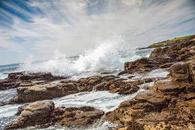 Kaliforniya 'nın Monterey şehrindeki Pasifik Okyanusu kıyısında. Amerika Birleşik Devletleri. Güneşli bir günde güzel bir sahil. Okyanus manzarası.