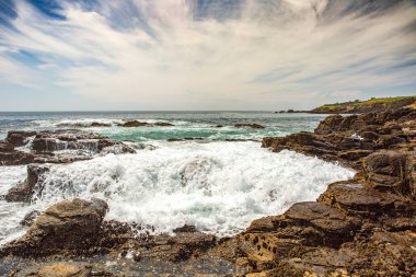 Kaliforniya 'nın Monterey şehrindeki Pasifik Okyanusu kıyısında. Amerika Birleşik Devletleri. Güneşli bir günde güzel bir sahil. Okyanus manzarası.
