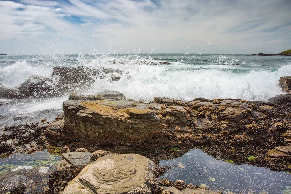 Costa Del Océano Pacífico Ciudad Monterey California Estados Unidos América — Foto de Stock