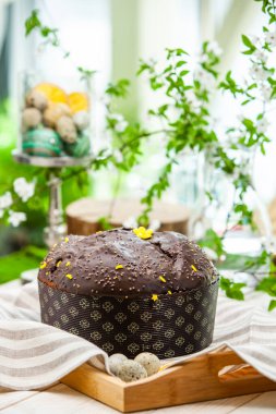 Panettone, 2021 yılında Paskalya için geleneksel İtalyan tatlısıdır. Çikolata ve çikolata parçacıkları ile kaplı ev yapımı panettone. Tatlı olarak sunulan ekmek..