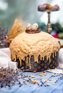 Panettone, 2021 yılında Paskalya için geleneksel İtalyan tatlısıdır. Çikolata ve çikolata parçacıkları ile kaplı ev yapımı panettone. Tatlı olarak sunulan ekmek..