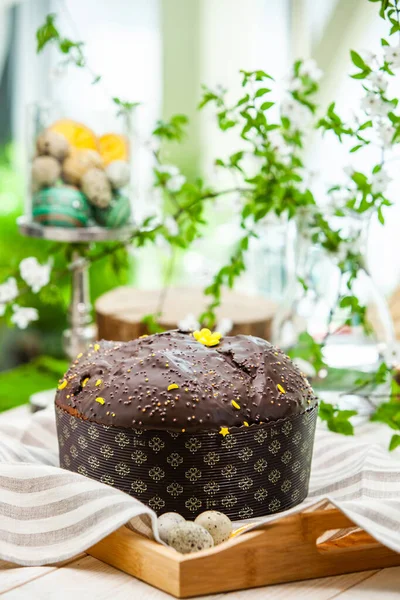 Panettone, 2021 yılında Paskalya için geleneksel İtalyan tatlısıdır. Çikolata ve çikolata parçacıkları ile kaplı ev yapımı panettone. Tatlı olarak sunulan ekmek..