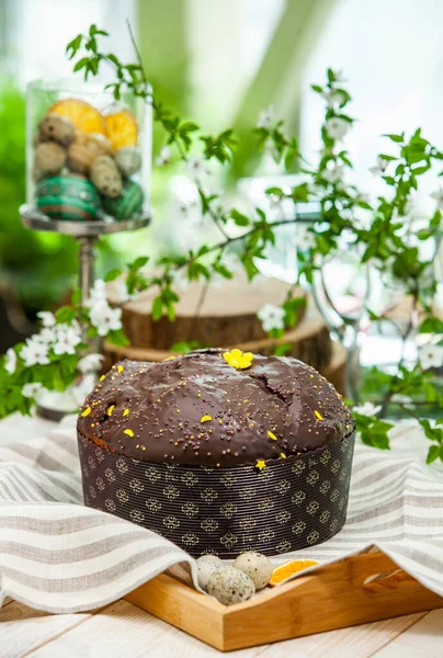 Panettone, 2021 yılında Paskalya için geleneksel İtalyan tatlısıdır. Çikolata ve çikolata parçacıkları ile kaplı ev yapımı panettone. Tatlı olarak sunulan ekmek..