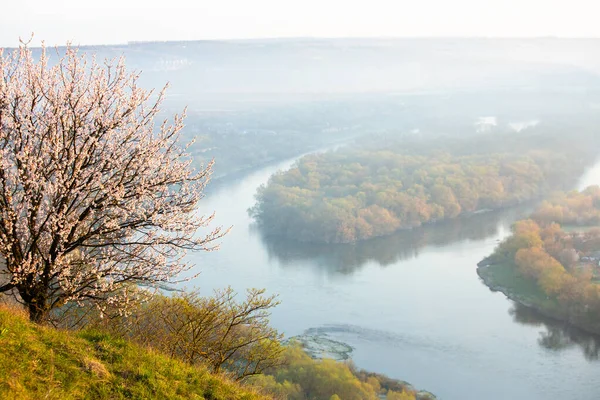 Vackert Landsbygdslandskap Europa Fantastisk Natur Våren Landskap Med Grönt Gräs — Stockfoto