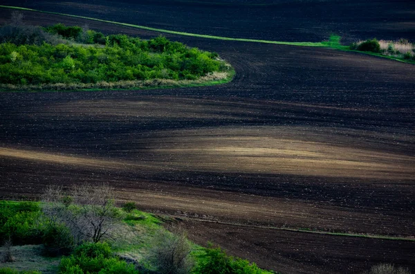 Barna Mezőgazdasági Talaj Textúrája Gyönyörű Napfelkelte Farmon Moldovai Farm Európa — Stock Fotó