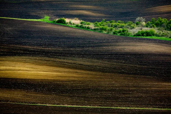 棕色农业土壤的结构 美丽的日出在农场 摩尔多瓦的农场 种植蔬菜种子的新耕春田 — 图库照片