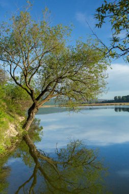 Göl ve ağaçlarla güzel bir manzara. Avrupa 'da İnanılmaz Doğa. Bu yaz ziyaret etmek için güzel bir yer..